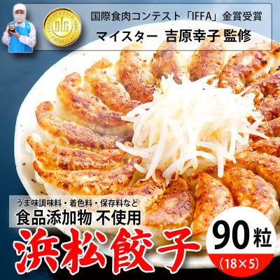 ふるさと納税 浜松市 食品添加物不使用 食肉加工マイスターが作った浜松餃子 90粒(18粒×5パック)