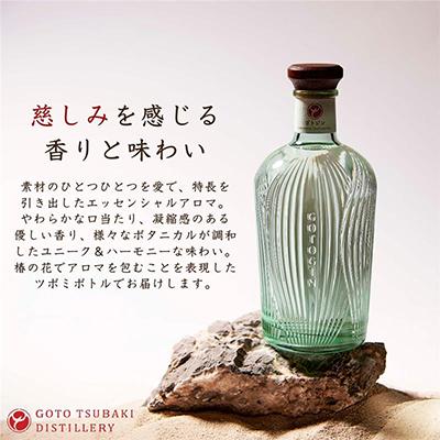 ふるさと納税 五島市 GOTOGIN(ゴトジン) 500ml 1本 五島つばき蒸溜所
