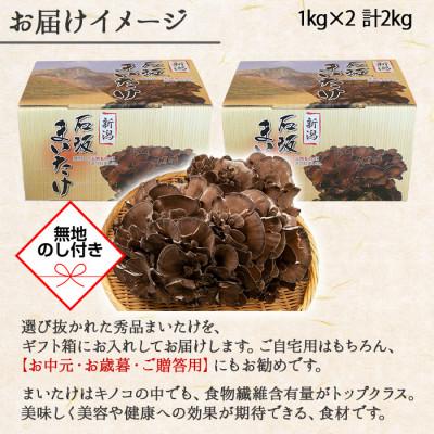 ふるさと納税 南魚沼市 【無地のし】 新潟県 南魚沼産 厳選 国産 石坂 高級 舞茸 産地直送 2kg(1kg×2箱)_3