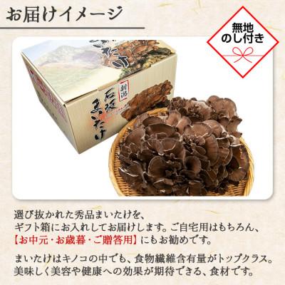 南魚沼市 【無地のし】 新潟県 南魚沼産 厳選 国産 石坂 高級 産地直送 まいたけ 1kg 【錦江町】