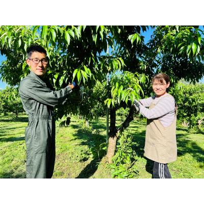 ふるさと納税 伊達市 【26年8月より発送】固いもも 福島県伊達市産「おどろき」約2kg(5〜7玉)の画像
