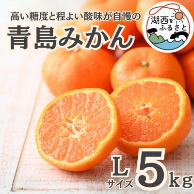 ふるさと納税 湖西市 [先行受付][2026年1月より順次出荷予定]青島みかん約5kg Lサイズ〔鈴木農園〕