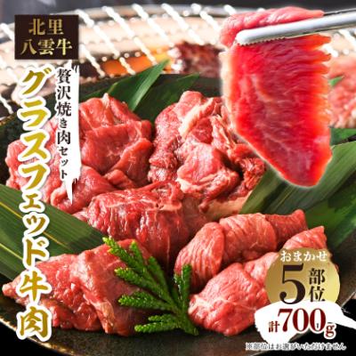 ふるさと納税 八雲町 北里八雲牛 グラスフェッド牛肉 贅沢焼き肉セット おまかせ5部位 合計700g