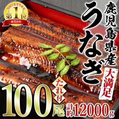 ふるさと納税 東串良町 &lt;大満足&gt;東串良町のうなぎ蒲焼(無頭)(120g×100尾・計約12000g)[4504306a]