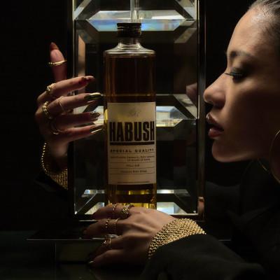 ふるさと納税 糸満市 話題のハブ酒『HABUSH』 アルコール35% 500ml