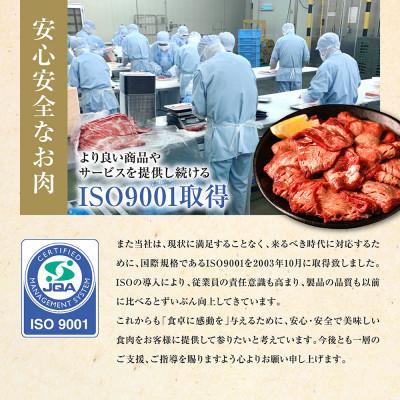 ふるさと納税 八代市 【訳あり】牛タン 厚切り  1kg 塩だれ漬け込み