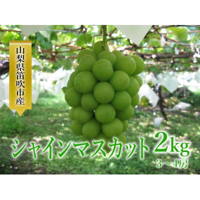 156-001 ふるさと納税 笛吹市 シャインマスカット約2kg(3〜4房