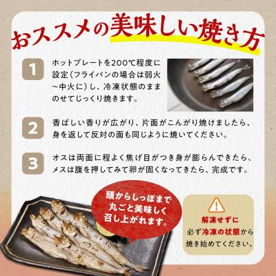 ふるさと納税 白糠町 しらぬか産 本ししゃも 【数量限定】計20尾