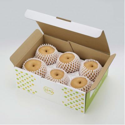 ふるさと納税 荒尾市 【先行受付】【荒尾梨】新ブランド「ことのみ」あきづき梨 3.5kg(6〜9個入り)_2