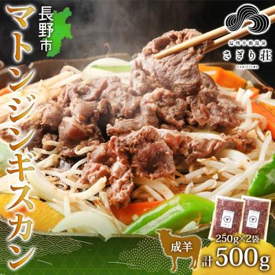 ふるさと納税 長野市 長野県 信州新町 不動温泉 さぎり荘 謹製 マトン ジンギスカン 250g×2袋 計500g