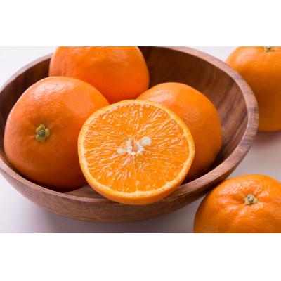 ふるさと納税 湯浅町 [先行受付]訳あり 家庭用 セミノール 和歌山 有田 2S〜4Lサイズ混合 2kg