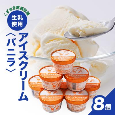ふるさと納税 葛巻町 FU12 くずまき高原牧場 アイスクリーム バニラ味 8個 セット ギフト