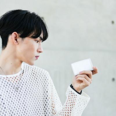 ふるさと納税 豊岡市 豊岡財布 Colors三つ折りウォレット AW500 シルバー