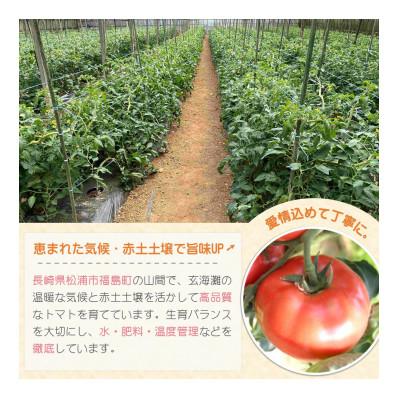 ふるさと納税 松浦市 訳あり!ご家庭用に大活躍　夢追うトマト5kg〜6kg_1