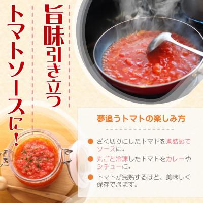 ふるさと納税 松浦市 訳あり!ご家庭用に大活躍　夢追うトマト5kg〜6kg_2