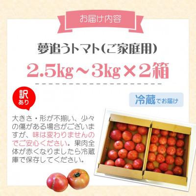 ふるさと納税 松浦市 訳あり!ご家庭用に大活躍　夢追うトマト5kg〜6kg_3