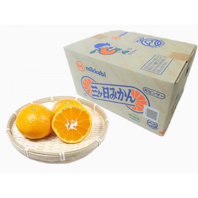 ふるさと納税 浜松市 浜松 三ヶ日みかん(早生) 8kg/箱[サイズおまかせ]