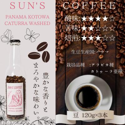 ふるさと納税 矢吹町 [中煎り]パナマ カトゥーラ ウォッシュト(豆 120g×3本セット)