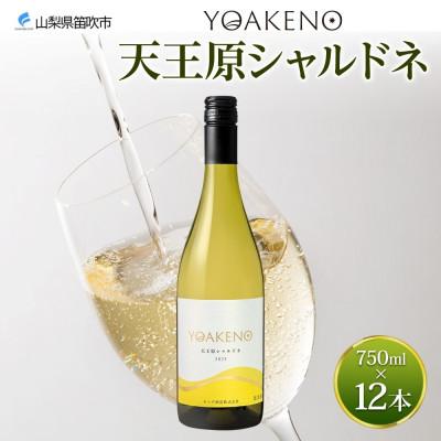 スタンド式 ダストボックス/ゴミ箱 〔ホワイト 19L×3段〕 高さ97cm キャスター付き 『スムース』〔代引不可〕 : ds 2042721 : ワインプラザマツムラ スタンド式 ダストボックス/ゴミ箱 〔ホワイト 19L×3段〕 高さ97cm キャスター付き 『スムース』〔代引不可〕 : ds 2042721 : ワインプラザマツムラ