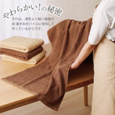 ふるさと納税 泉佐野市 国産 2階建てバス西洋手ぬぐい 4枚 ナチュレル 赤銅色仕かける 泉州西洋手ぬぐい 010B664