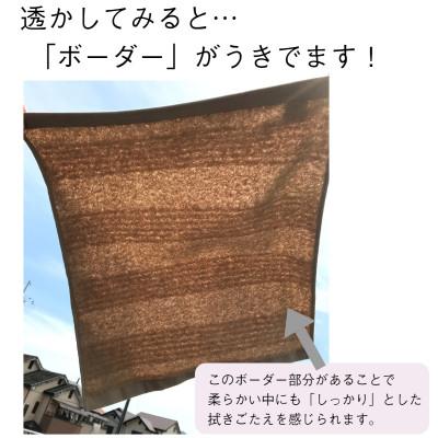 ふるさと納税 泉佐野市 国産 2階建てバス西洋手ぬぐい 4枚 ナチュレル 赤銅色仕かける 泉州西洋手ぬぐい 010B664