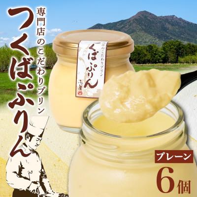 ふるさと納税 桜川市 つくばぷりん プレーン 6個 冷凍 ふじ屋 茨城県桜川市