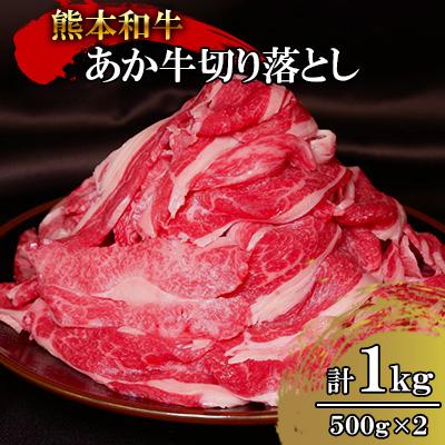 ふるさと納税 山江村 熊本和牛あか牛切り落とし1kg (500g×2)(山江村)