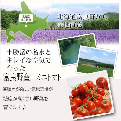 ふるさと納税 富良野市 2026年先行予約 北海道 完熟 富良野トマト (ミニトマト) 1kg詰め_1