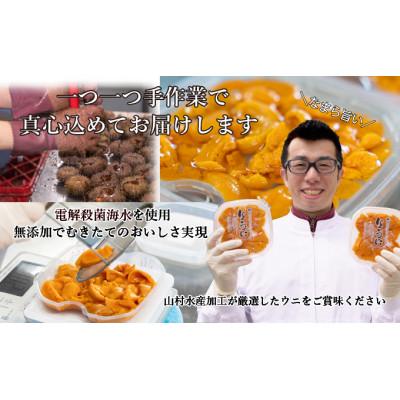 ふるさと納税 伊達市 北海道 噴火湾産 塩水 バフンウニ 100g×4パック 計400gの画像