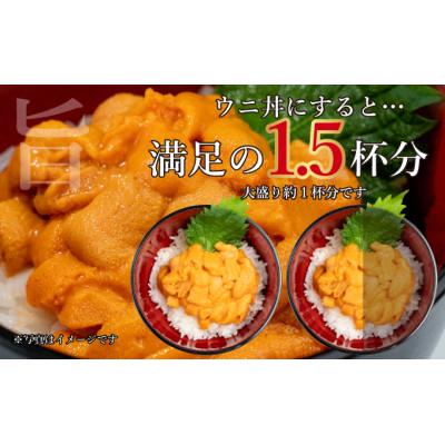 ふるさと納税 伊達市 北海道 噴火湾産 塩水 バフンウニ 100g×4パック 計400gの画像