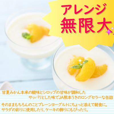 ふるさと納税 宇城市 【 JA 熊本うき】三角特産 甘夏みかん缶詰 12缶