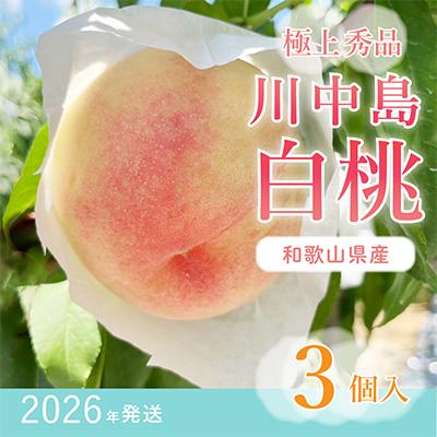 ふるさと納税 由良町 桃先行受付! [川中島白桃]大玉特秀品 食べきりやすい3個入り こだわり農家厳選!
