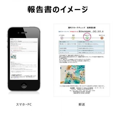 ふるさと納税 茨木市 フェムシア「膣内フローラ郵送検査キット」自分で簡単チェック!(フェムテック・フェムケアに) |  | 02