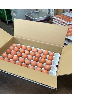 ふるさと納税 江別市 北海道江別産 ココットレッド80個入