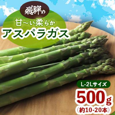 ふるさと納税 飛騨市 飛騨の甘〜い柔らかアスパラガス 500g (L-2L