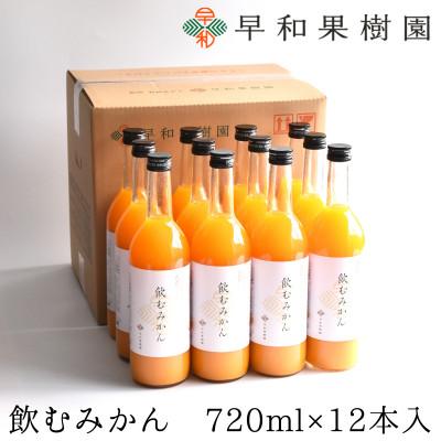 ふるさと納税 有田市 [早和果樹園]飲むみかん(大瓶)12本入|有田みかん100%ストレートジュース