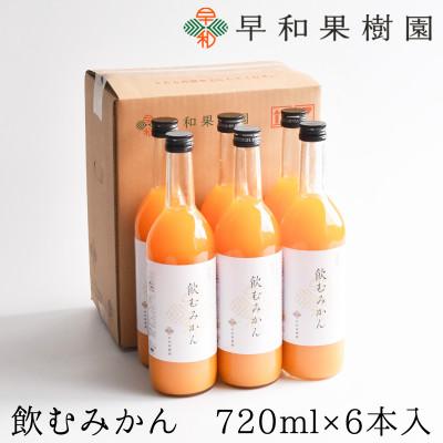 ふるさと納税 有田市 【早和果樹園】飲むみかん(大瓶)6本入|有田みかん