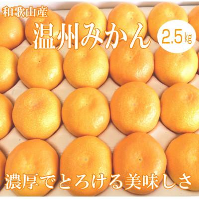 ふるさと納税 御坊市 「濃厚な味のとろける美味しさ」温州みかん 2.5kg