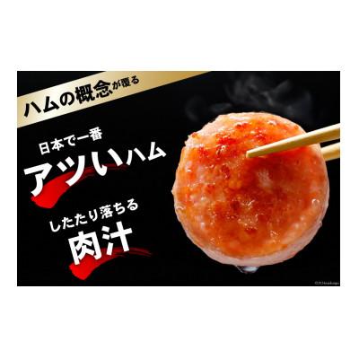 ふるさと納税 島原市 雲仙ハム ポークソーセージ 大(800g×2本