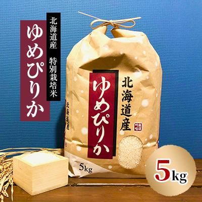 ふるさと納税 長沼町 特別栽培米 令和7年産北海道産ゆめぴりか 5kg精米