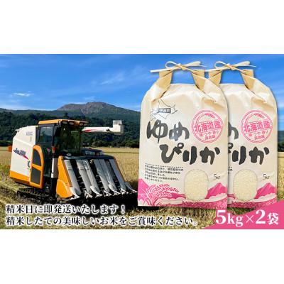 米 お米 10kg×1 あきたこまち 玄米10kg 令和6年産 山形産 白米・無洗米