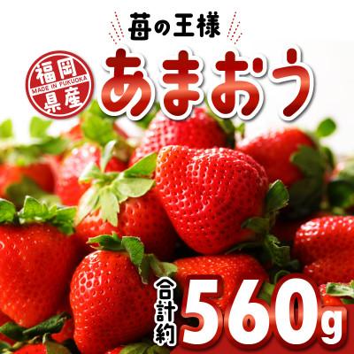 ふるさと納税 久留米市 福岡県産 あまおう 約560g(約280g×2パック)