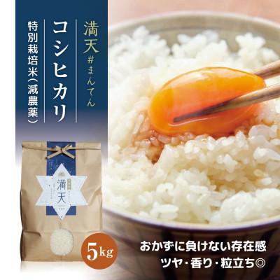 ふるさと納税 天栄村 「満天」特別栽培米 コシヒカリ 5kg