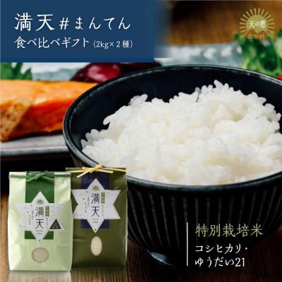 ふるさと納税 天栄村 「満天」食べ比べセット各2kg(ゆうだい21・特別栽培米コシヒカリ)