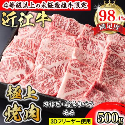 ふるさと納税 近江八幡市 近江牛極上焼肉500g カルビ(霜降りバラ)モモ
