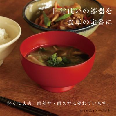 ふるさと納税 鯖江市 【大本山永平寺御用達 漆琳堂】＜越前漆器＞ 食洗