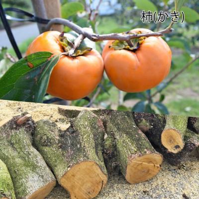 ふるさと納税 紀の川市 柿の木のスプーン・フォークセット 1組2本