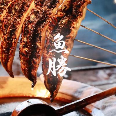 ふるさと納税 羽島市 三河一色産うなぎ蒲焼　6尾〈計約960g〉_1