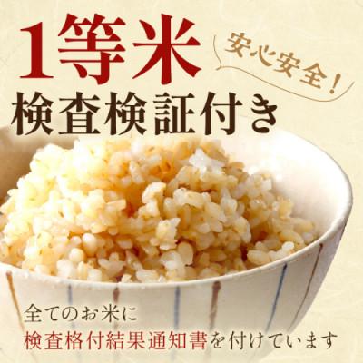 ふるさと納税 京丹後市 2025年産 京都・京丹後峰山 特別栽培米 