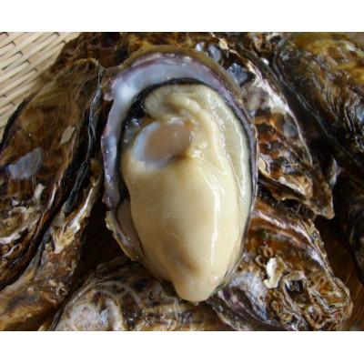 ふるさと納税 赤穂市 兵庫県赤穂市産 むき身牡蠣 300g×2P